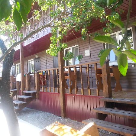 بيزوندا Guest House Yuzhnaya Palmira المظهر الخارجي الصورة