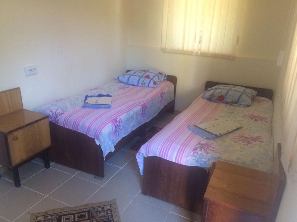 بيزوندا Guest House Yuzhnaya Palmira المظهر الخارجي الصورة